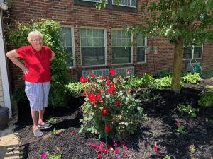 st. michael's community rose bush