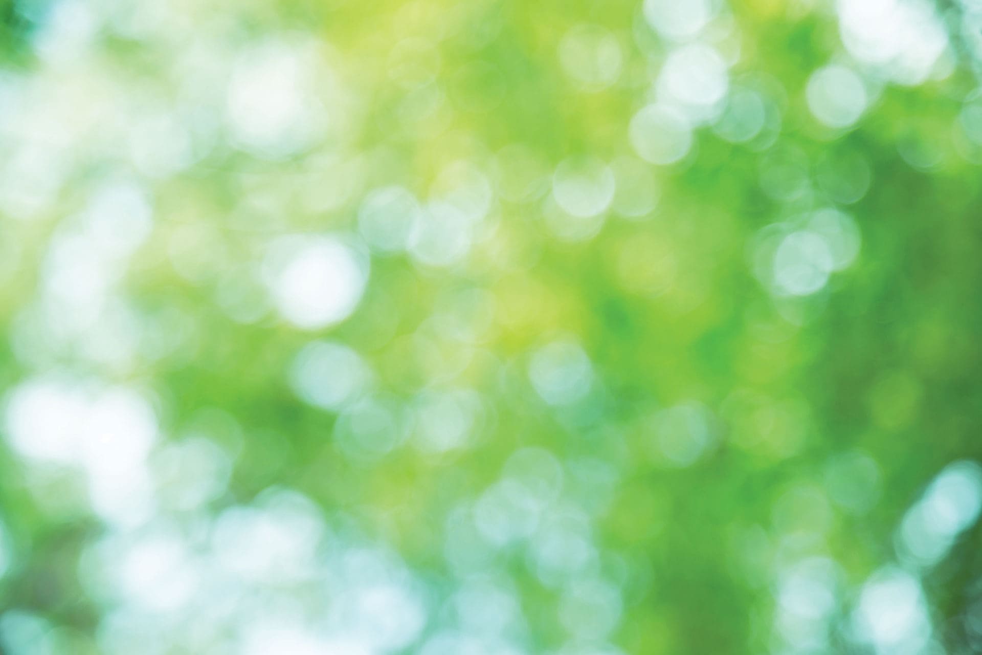 Abstract image with a soft bokeh effect of green and white circular light patterns, resembling blurred foliage on a sunny day. Abstract image with a soft bokeh effect of green and white circular light patterns, resembling blurred foliage on a sunny day.