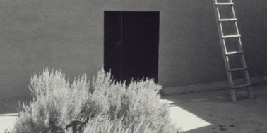 Black and white photo of a building wall with a closed dark door, a tall wooden ladder leaning against the wall, and a bush in the foreground.